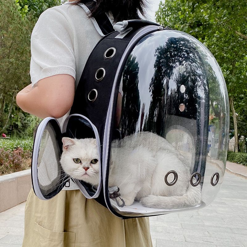 Transparent Pet Backpack Carrier - View 3